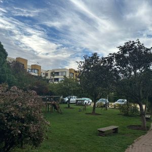 Venta dpto. remodelado Balmaceda/  Parque Reñaca / Viña del Mar full